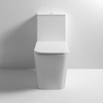 Ella Rimless Flush To Wall Pan Cistern And Seat