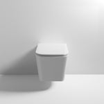 Ella Rimless Wall Hung Pan And Seat