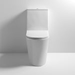 Toledo Rimless Flush To Wall Pan Cistern And Seat