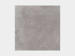 Porcelanosa Bottega Acero Wall, Floor & Decor Tile Bottega Acero Ant. 60.2 × 60.2 cm – 100326031