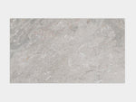 Porcelanosa Image Silver Wall & Floor Tile Image Silver 33.3X59.2 - 100323915
